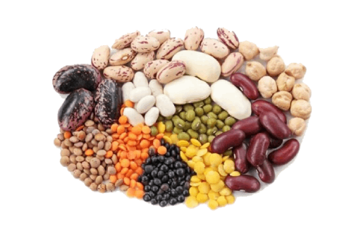 Seeds & Mixes